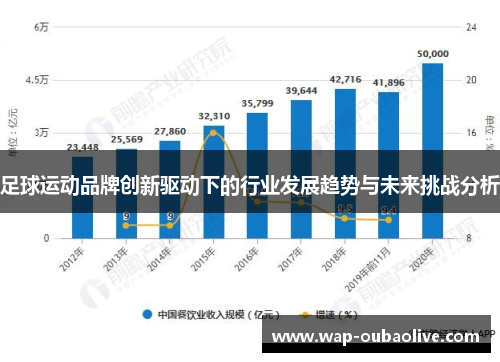 足球运动品牌创新驱动下的行业发展趋势与未来挑战分析