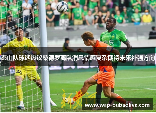 泰山队球迷热议桑德罗离队消息情感复杂期待未来补强方向