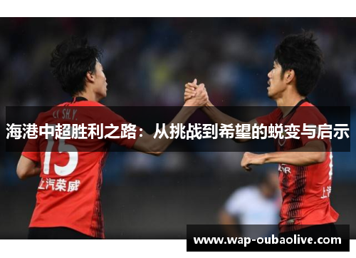 海港中超胜利之路：从挑战到希望的蜕变与启示