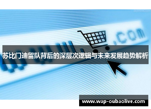 苏比门迪留队背后的深层次逻辑与未来发展趋势解析