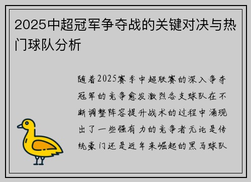 2025中超冠军争夺战的关键对决与热门球队分析