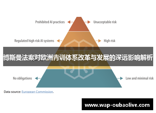 博斯曼法案对欧洲青训体系改革与发展的深远影响解析