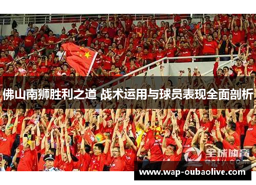 佛山南狮胜利之道 战术运用与球员表现全面剖析