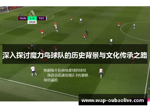 深入探讨魔力鸟球队的历史背景与文化传承之路