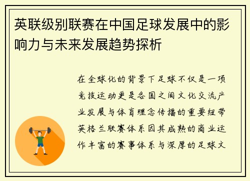 英联级别联赛在中国足球发展中的影响力与未来发展趋势探析